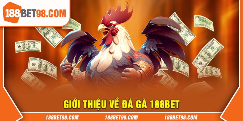 Giới thiệu đôi nét về chuyên mục đá gà 188BET